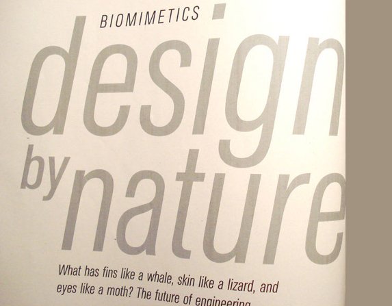 biomimétisme 