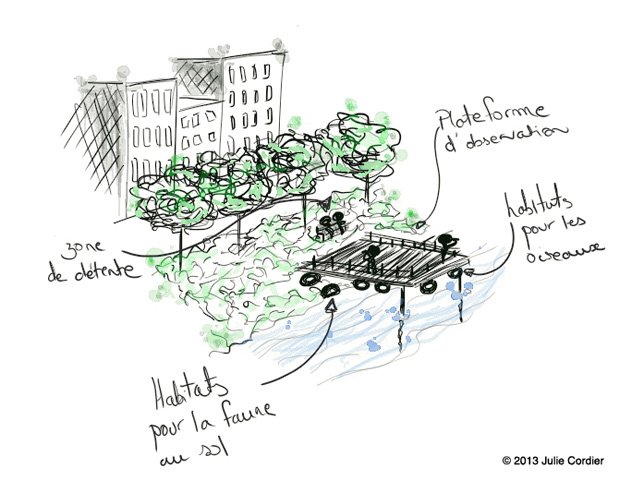 Enjeux environnementaux et biodiversité en ville; ecocity