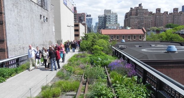 Enjeux environnementaux et biodiversité en ville; ecocity