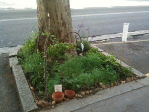 “Les plantes sont nos amis, et les toutous aussi… alors on leur a fait des sanisettes sur les petits cailloux. Merci.”