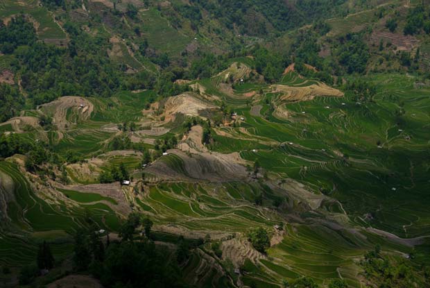 à Duoyishu, au cœur d’un territoire agricole encore bien préservé. Source : Architecture by Road