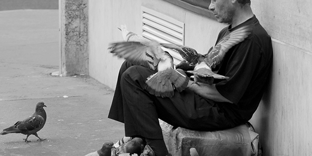 Homeless aux pigeons : Paris ; Copryright : Guiguit / Flickr