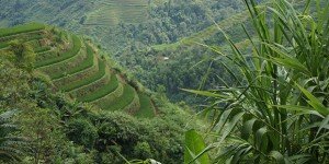 Terrasses Vietnamienne - Ha Giang : Photographe : Clément Pairot