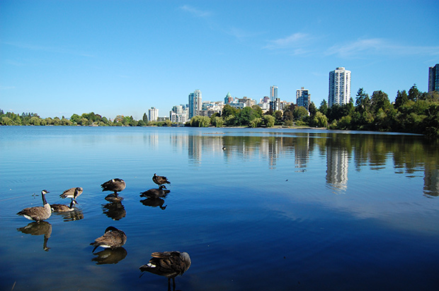 Stanley Park - Vancouver. Copyright : Zotium / Wikimedia