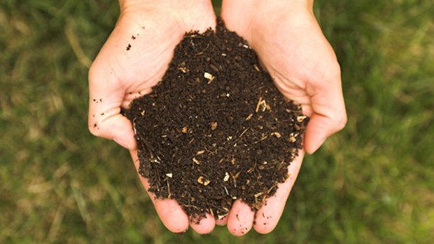 Le lombri-compostage, une technique hors-sol, qui permet de récupérer d’une part du compost mais aussi du jus de compost.