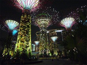 L'atmosphère nocturne dégagée par les Supertrees de Singapour rappelle l’esthétique du film Avatar, réalisé par James Cameron en 2009. Copyright : © Tee_Eric / Wikimedia