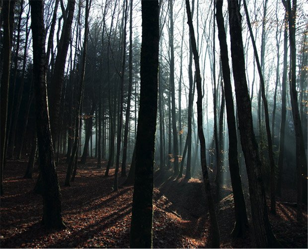 La cicatrice d’une tranchée, Boyau Français au Chamois Badonviller Source inconnue. Photographie présentée dans le diplôme « Le paysage lorrain, quels souvenirs pours quels horizons » de Ariane Dreyfus