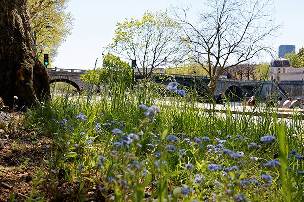 mairie-de-Paris-parisculteurs-biodiversite