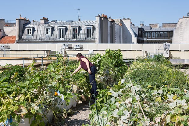 pariculteurs aménagement urbain biodiversite