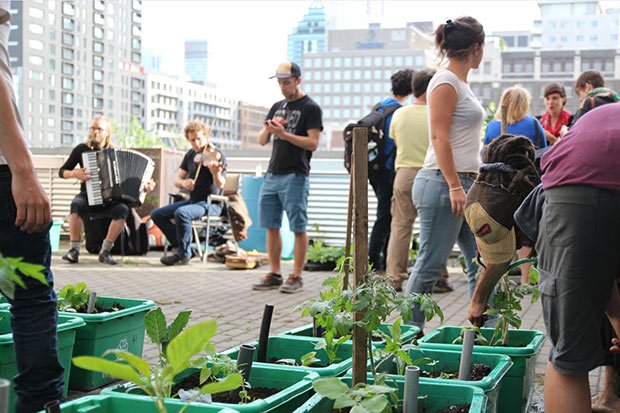 montreal agriculture ville urbain