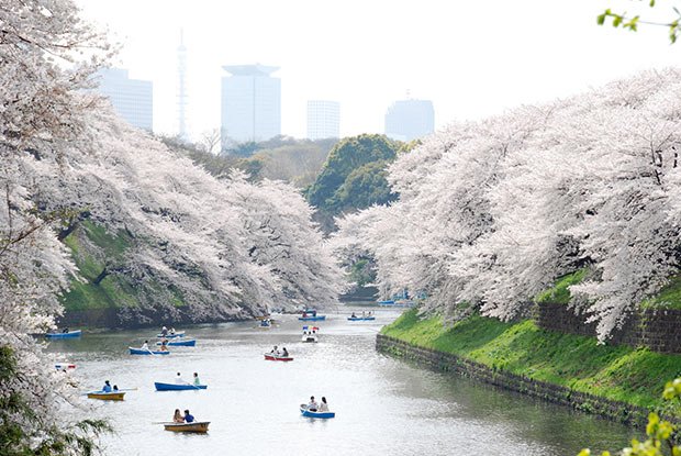 cittaslow sloth club japon 