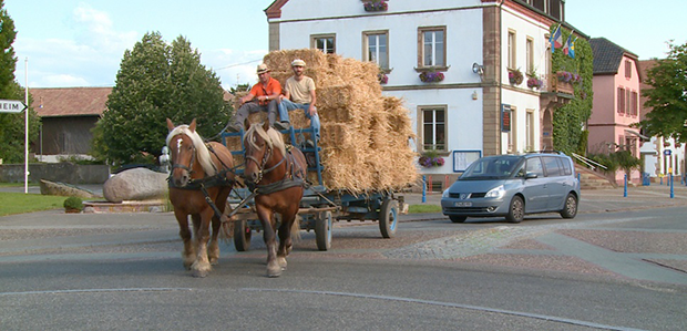 village alsacien sans carbonne