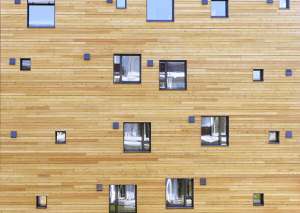 Facade en bois d un immeuble a haute performance energetique