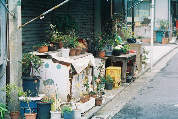 pot plante japonnais seuil porte convivialite