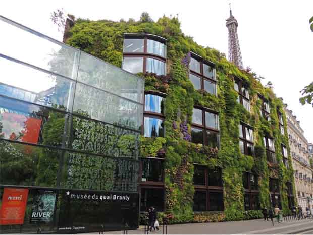 Le mur végétalisé du musée du Quai Branly, inauguré en 2012, rencontre un grand succès.