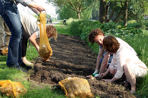 jardinage urbain zo city batiment