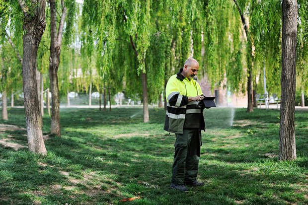 Un homme dans un parc qui grace a un ipad controle le systeme d arrosage