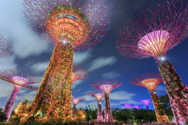 Le Marina City Park à Singapour / Crédit : DavidWebb / Shutterstock.com