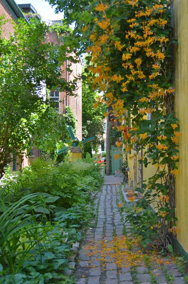 Une rue vegetalisee est source de convivialite et de partage