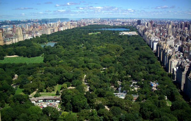 Central Park est considéré à l’échelle de New-York comme son « poumon vert »