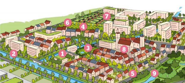 9 actions pour favoriser la biodiversité en ville