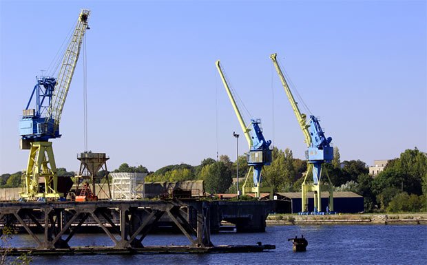 photo de grues