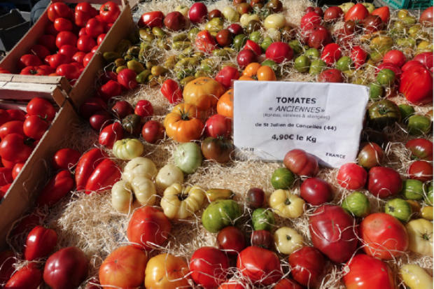 Des pommes à l'etallage