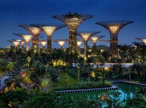 Dans la cité-état de Singapour, une forêt artificielle apporte aux habitants de l’énergie propre.