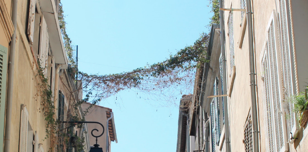 La nature cohabite avec la ville