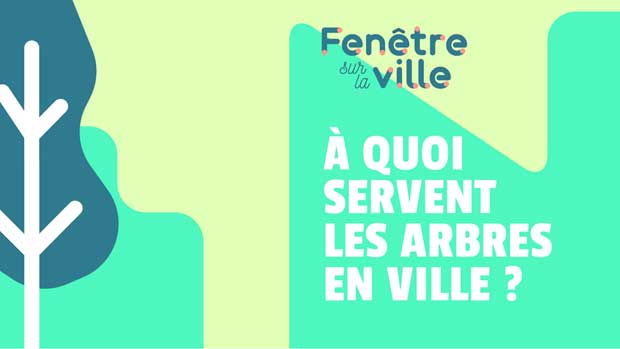 A Quoi Servent Les Capteurs De Co2 Nature en ville : à quoi servent les arbres en ville