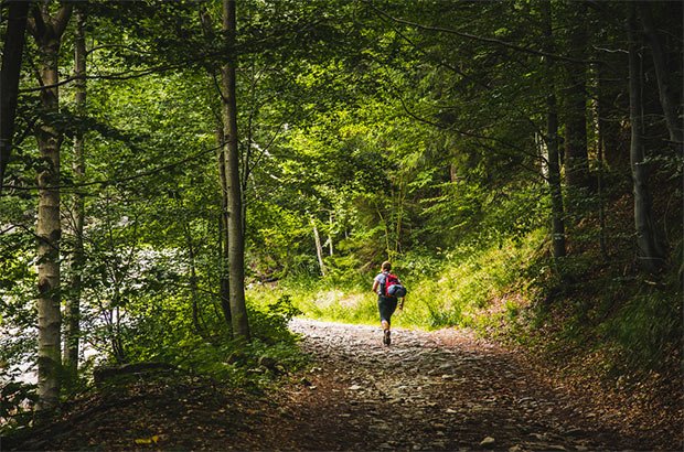 photo d un chemin de randonnee