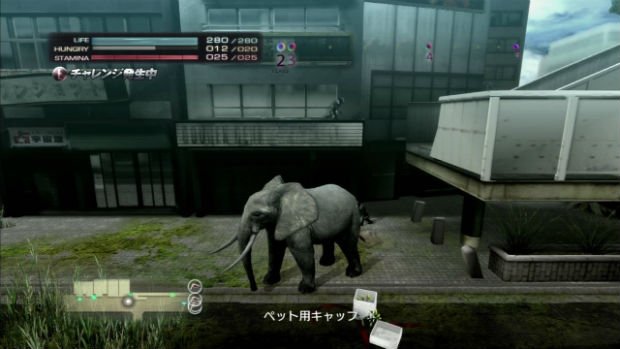 Tokyo, ville ouverte- Extrait de “Tokyo Jungle” (2013, sur Ps3), que nous évoquions dans ces colonnes dans notre Top 5 des villes animalières dans la culture populaire