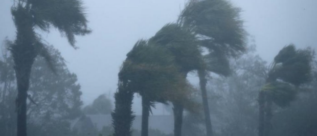 Début octobre 2018, la Floride a été frappé par l’ouragan Michael, avec des vents soufflant jusqu’à 250 km par heure