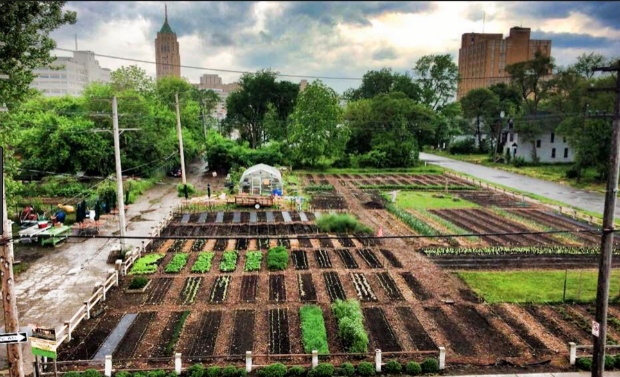 En 2016, la ville de Detroit a inauguré son premier quartier agricole