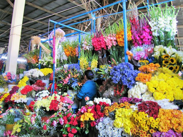 Cusco San Pedro Market Flowers