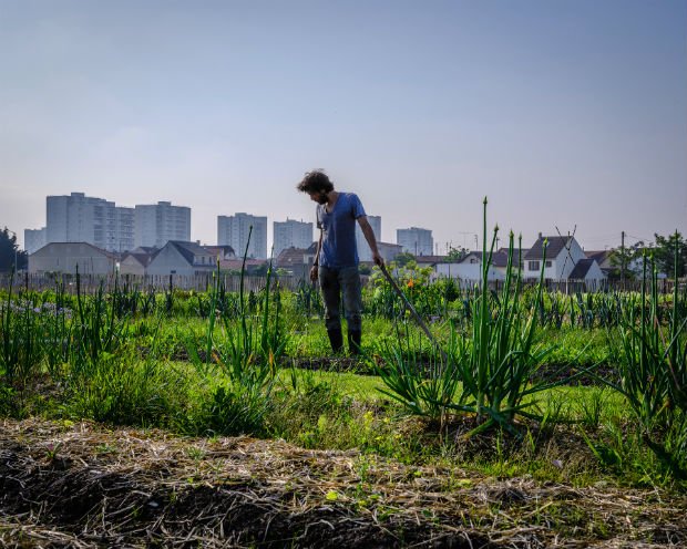 Une exploitation agricole à Saint-Denis, au fond, l'urbanisme pavillonnaire puis l'urbanisme des grands ensembles