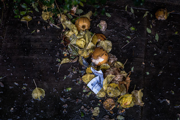 photographie de dechets alimentaires