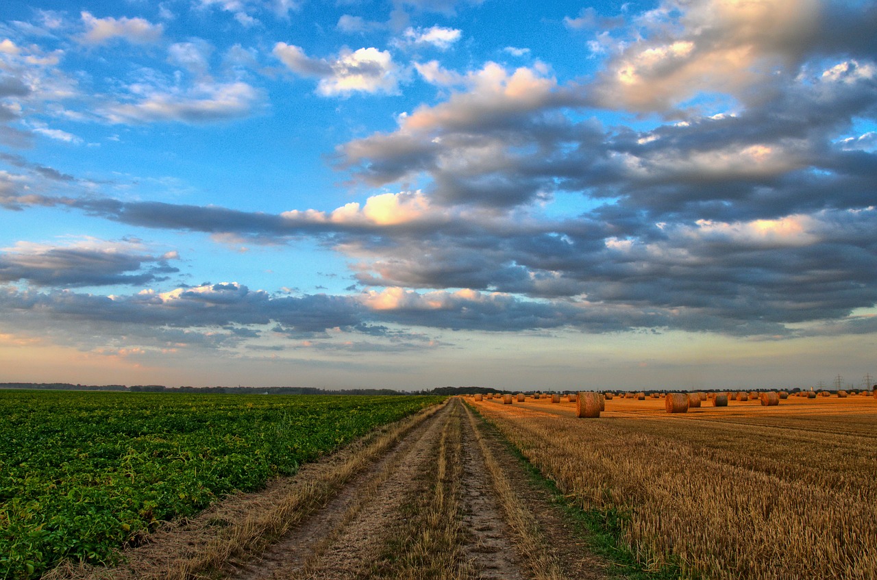 Agriculture biologique