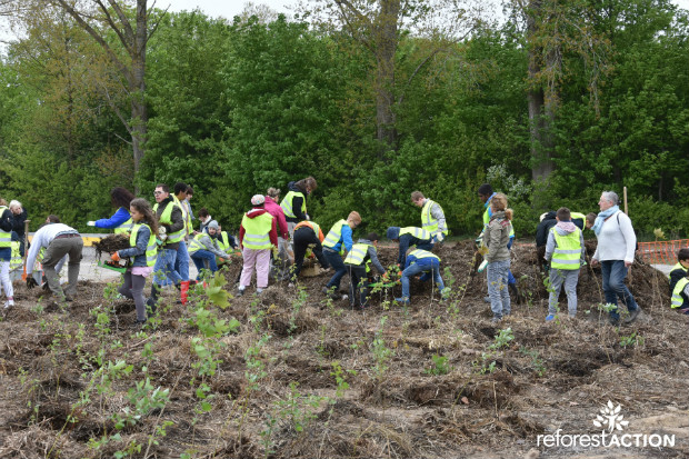 Opération de reforestation - Reforest’Action