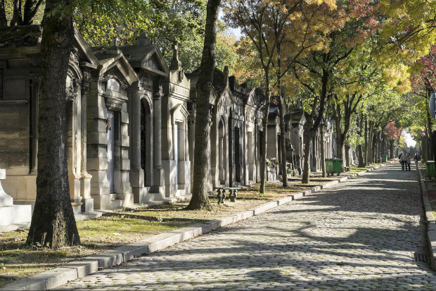Une des allées arborées du cimetière du Père Lachaise, lieu de promenades pour beaucoup de parisiens et visiteurs ©️Emile Lombard sur Flickr