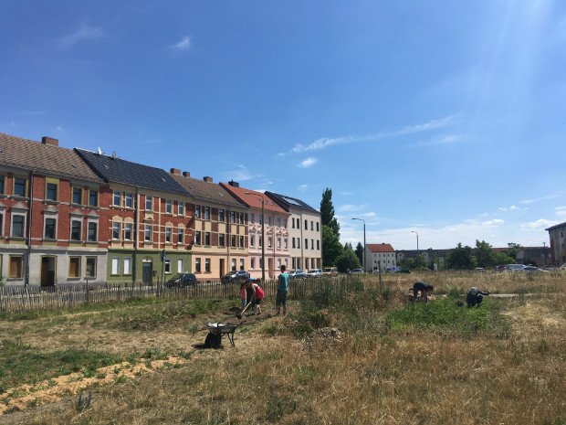 Au milieu des logements à Dessau, la Urbane Farm utilise les friches urbaines pour la production d'énergie renouvelable et de nourriture biologique - Gaëtan Kimmel