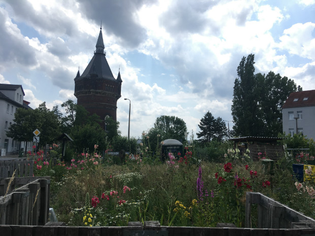 Le "Garten der Sinne" ("Jardin des sens") de Ramona Hartmann, une des Claims réalisées dans le cadre l'IBA. A l'arrière plan, le Nouveau Château d'Eau, lui-même entretenu par une association de préservation du patrimoine - Gaëtan Kimmel