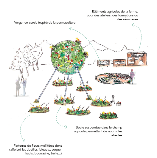 L’Oasis est une micro-architecture alliant pédagogie et expérimentation pour permettre aux futurs agriculteurs de se former à la sauvegarde des abeilles. © Camille Le Luhandre