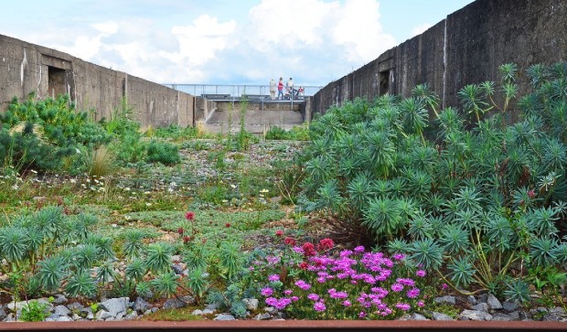 Laisser la nature reprendre ses droits dans les lieux délaissés de la ville : une solution pour lutter contre les îlots de chaleur urbains. Ici une mise en œuvre du tiers paysage de Gilles Clément à Saint-Nazaire © jardinspaysdelaloire.fr 