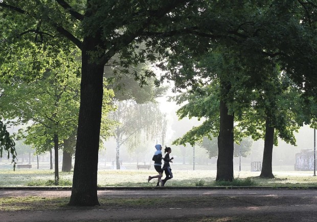 Petite foulée matinale dans un parc urbain. - Source : ©️Pixabay