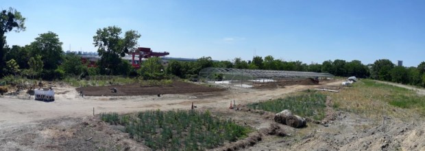 Halage : créateur d’espaces verts et inclusifs en ville