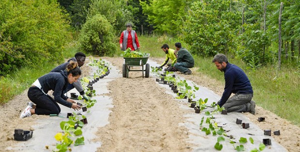 À Nantes, la municipalité crée des potagers pour venir en aide aux plus démunis