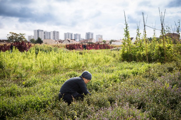 Yuhan, wwoofeuse à Zone Sensible, 2018 - Crédits Jean Pierre Sageot