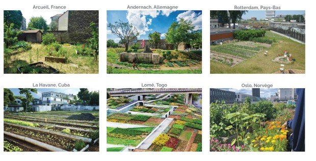 La multiplication de projets et d’initiatives à des échelles plus globales créer alors un réel mouvement, valorise l’agriculture urbaine et étend son rayonnement au delà d’un projet isolé.