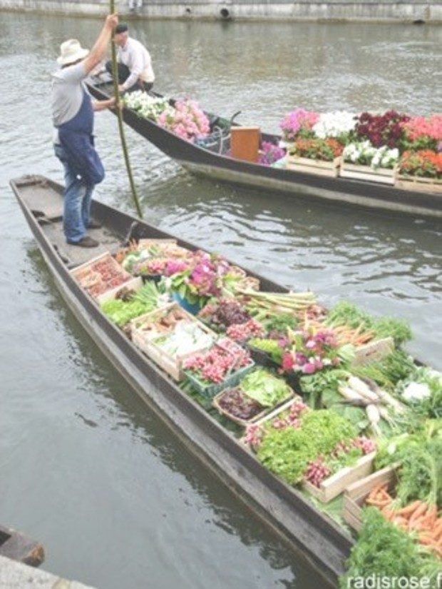 Balade dans les hortillonnages d’Amiens © radisrose.fr